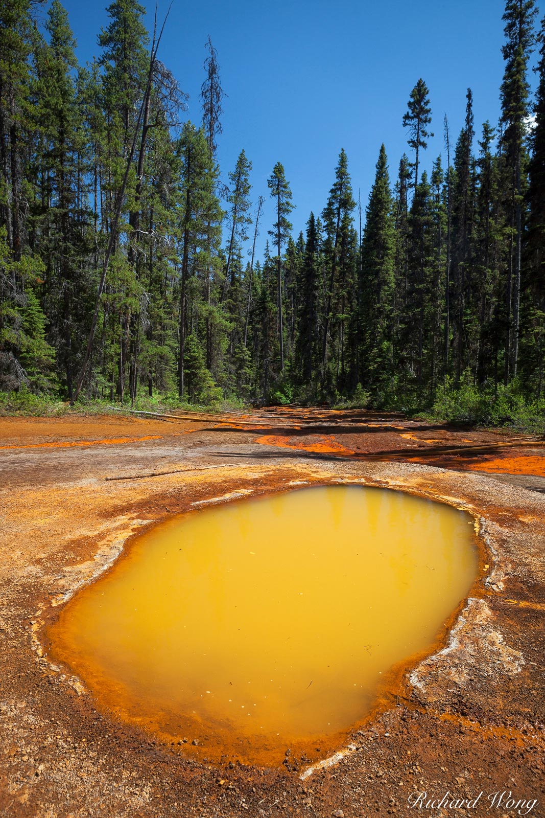 Paint Pots, Kootenay National Park, British Columbia, Canada, Photo