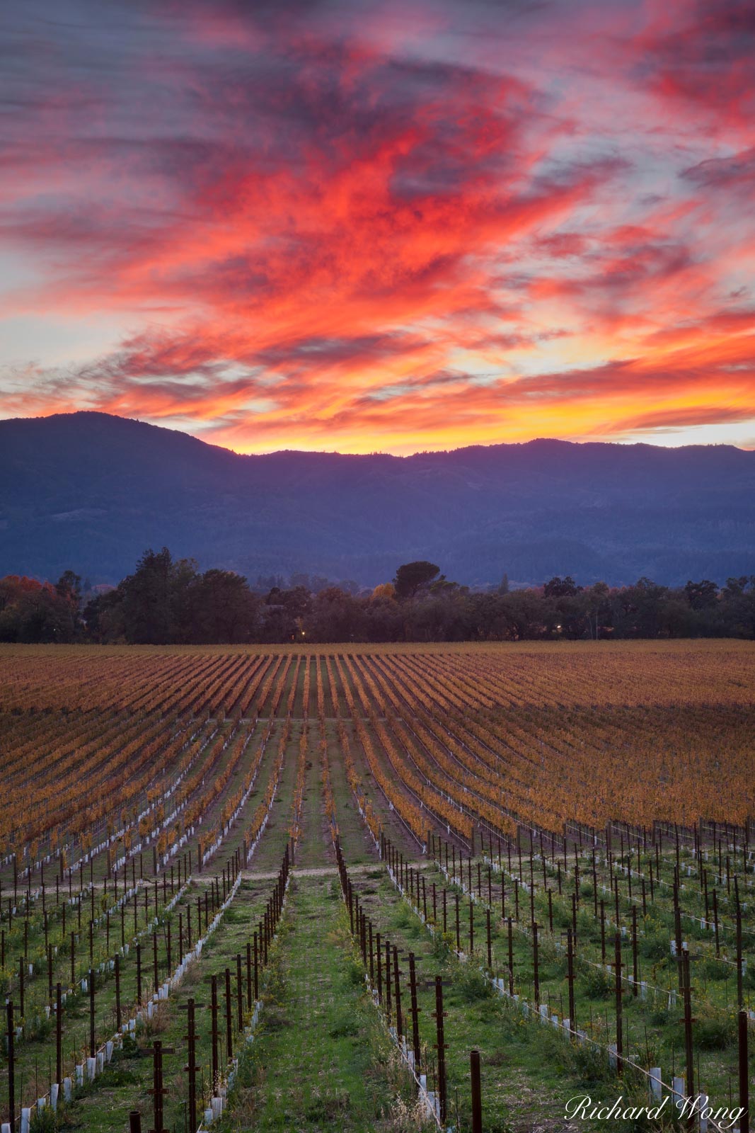 Fall Sunset Over Napa Valley, California, photo