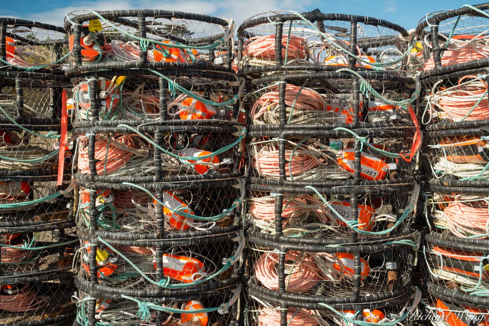 Crab Pot Traps Bodega Bay Photo