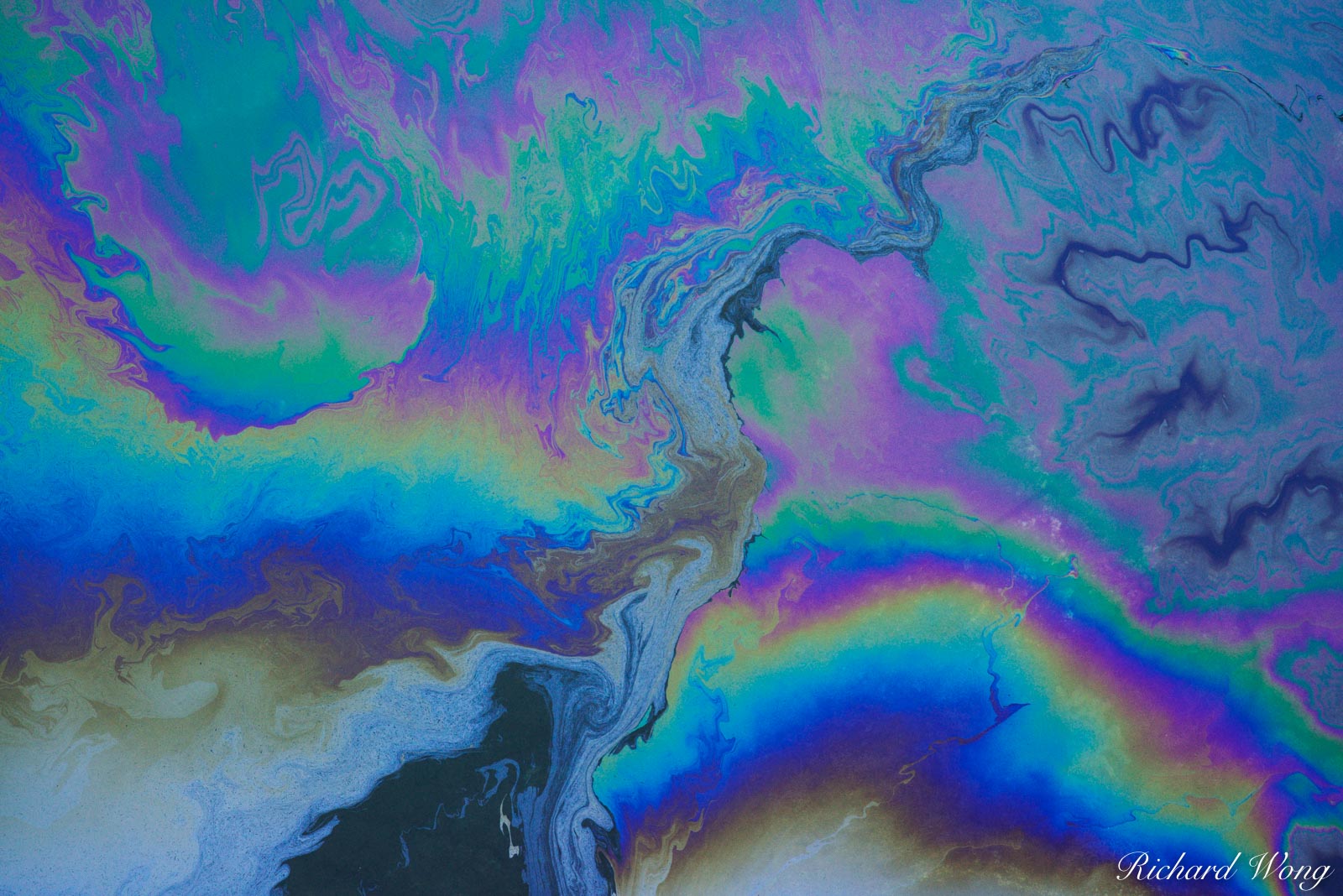 Black Tears Black Tears Oil on Water, USS Arizona Memorial Site, Pearl Harbor, Oahu, Hawaii, photo