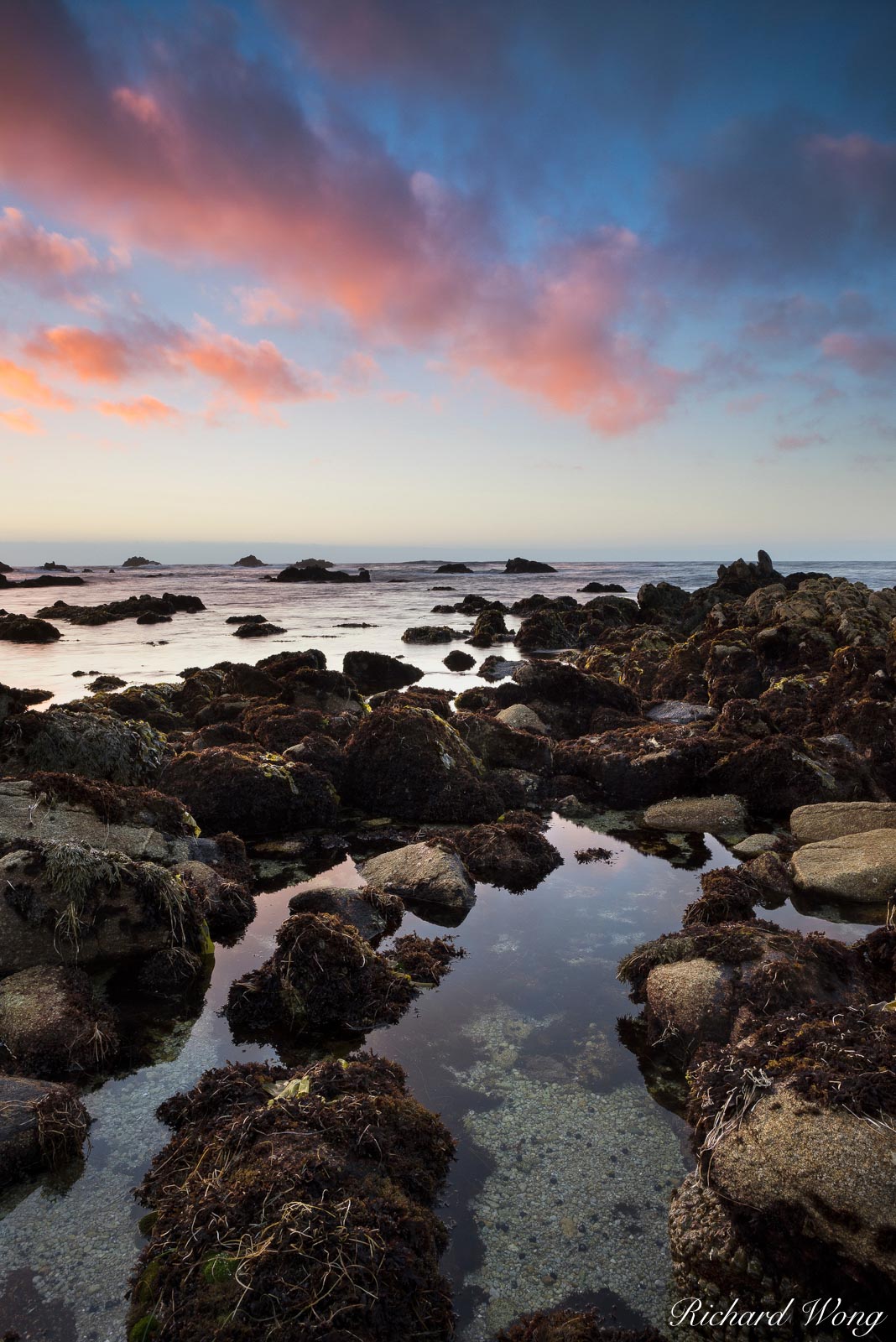 Asilomar State Beach Tide Pool at Sunset, Pacific Grove, California, photo