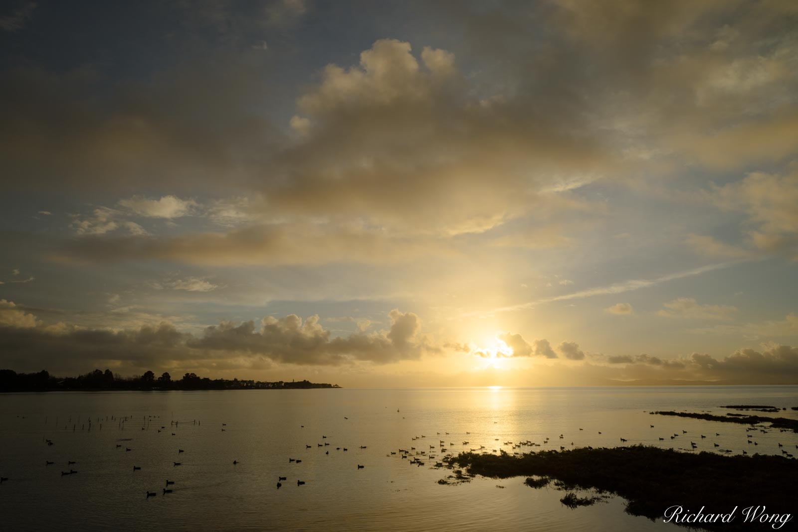 Elsie Roemer Bird Sanctuary Sunset, Alameda, California