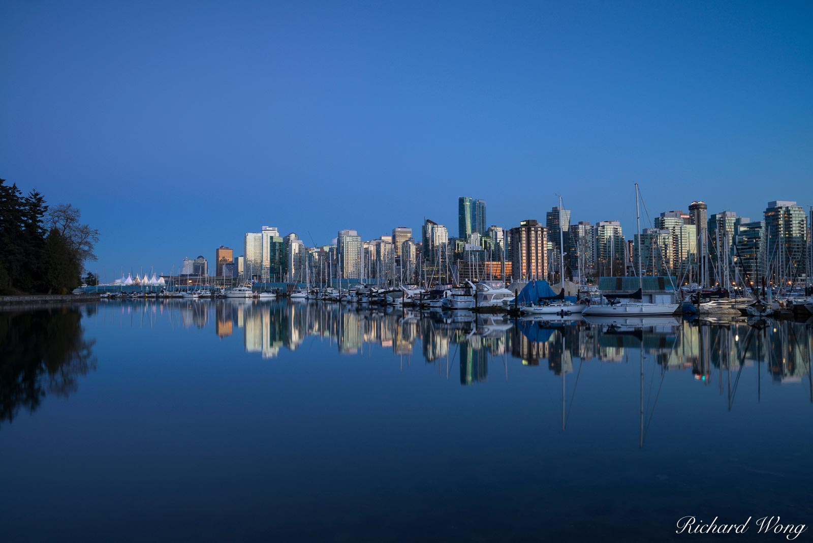 Downtown Vancouver Skyline, Stanley Park, Vancouver, B.C., Canada, photo