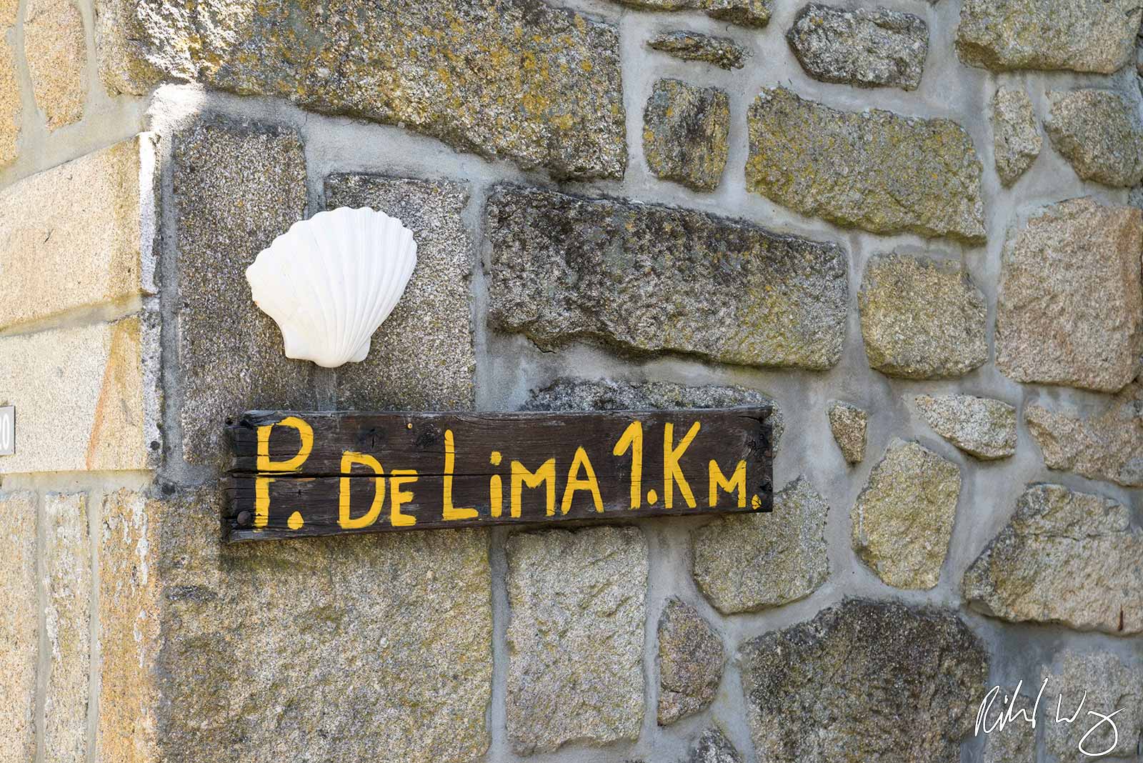 Camino de Santiago Scallop Shell The Portugese Way Route to Ponte de Lima (Oldest Town in Portugal), Portugal, photo
