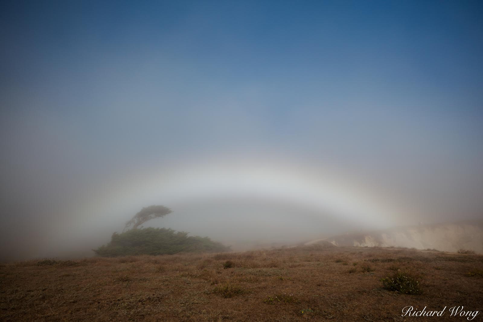 Fogbow at Bodega Head, Sonoma Coast, California, photo