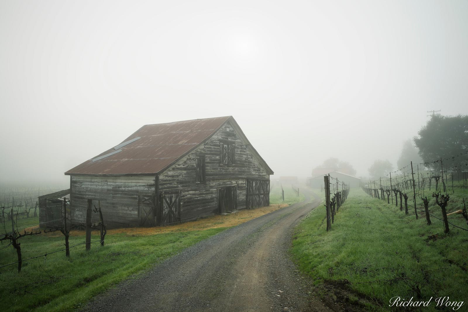 Dry Creek Valley Barn Winter Morning, Sonoma County, California, photo