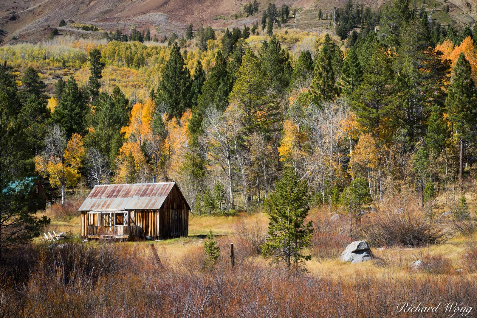 Barn and Fall Color, Hope Valley, California