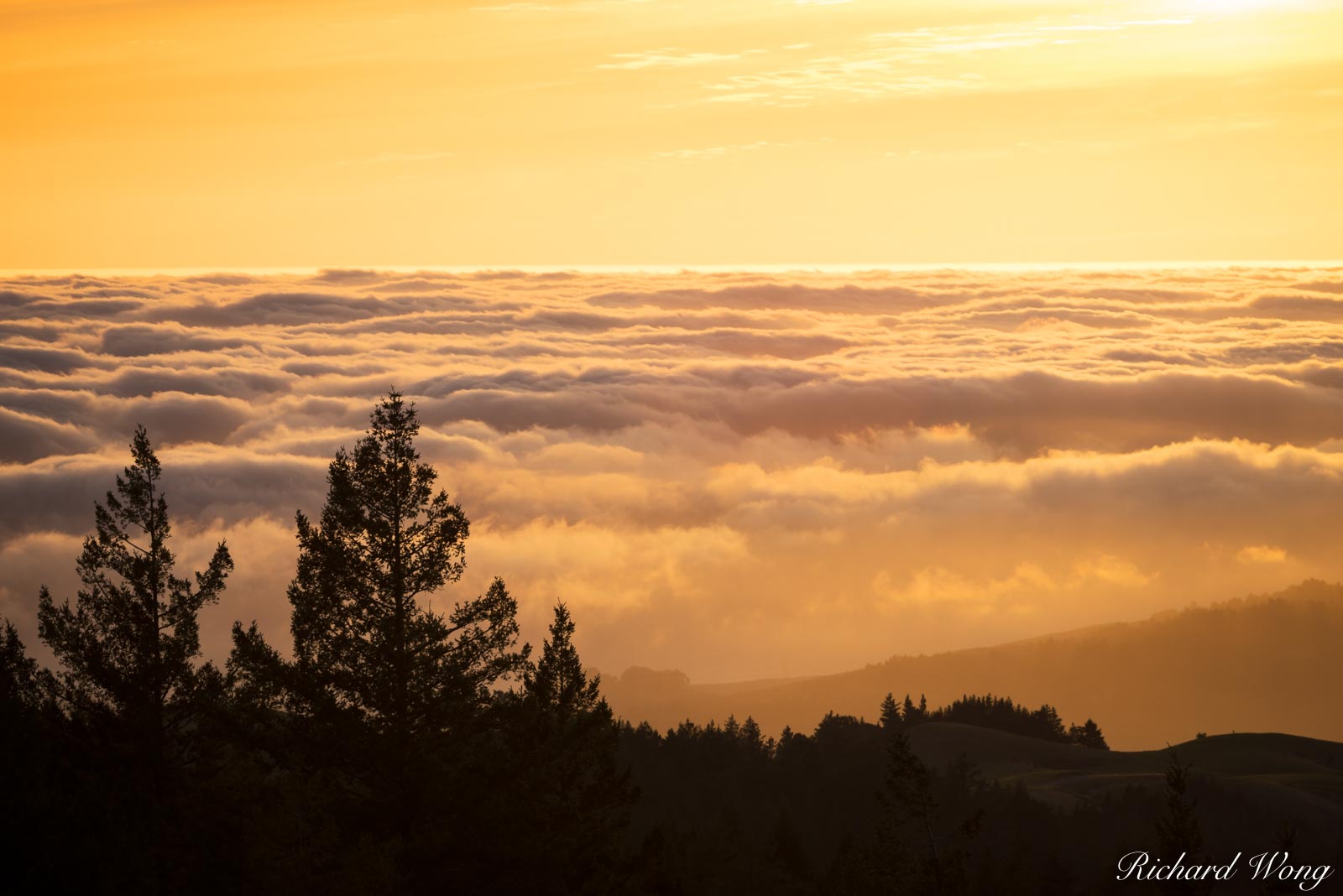 Foggy Sunset in Spring, Mount Tamalpais State Park, California