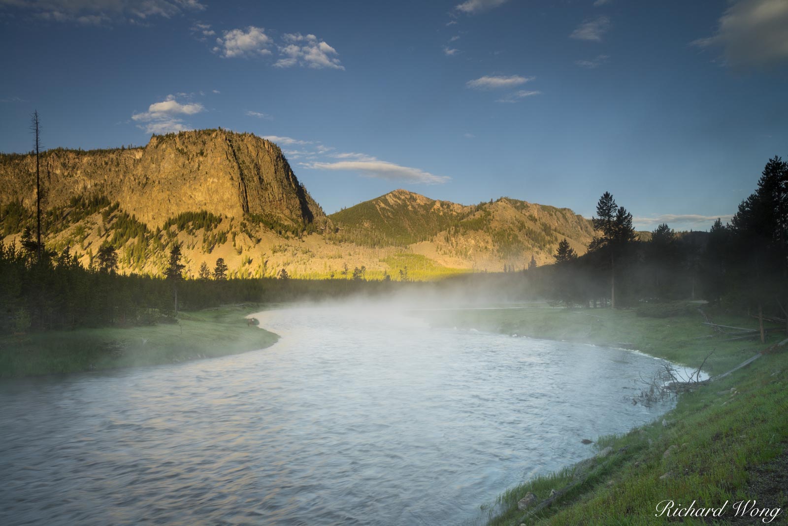 River Runs Through Madison River at Sunrise, Yellowstone National Park, Wyoming