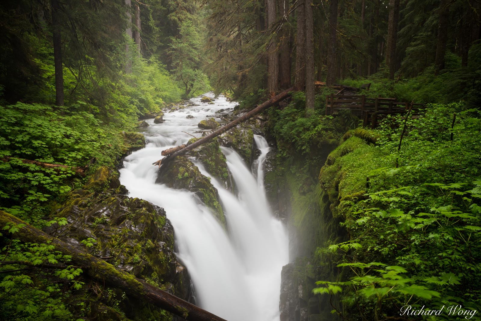 Sol Duc Falls, Olympic National Park, Washington, photo