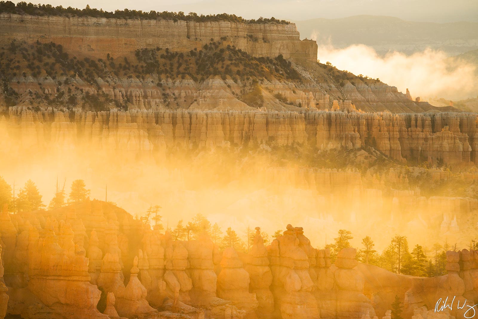 Fog Rising Through Hoodoos at Sunrise, Bryce Canyon National Park, Utah