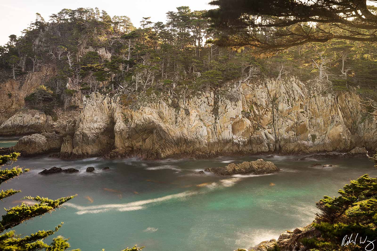 Allan Memorial Grove Scenic Overlook, Point Lobos State Natural Reserve, California, Photo