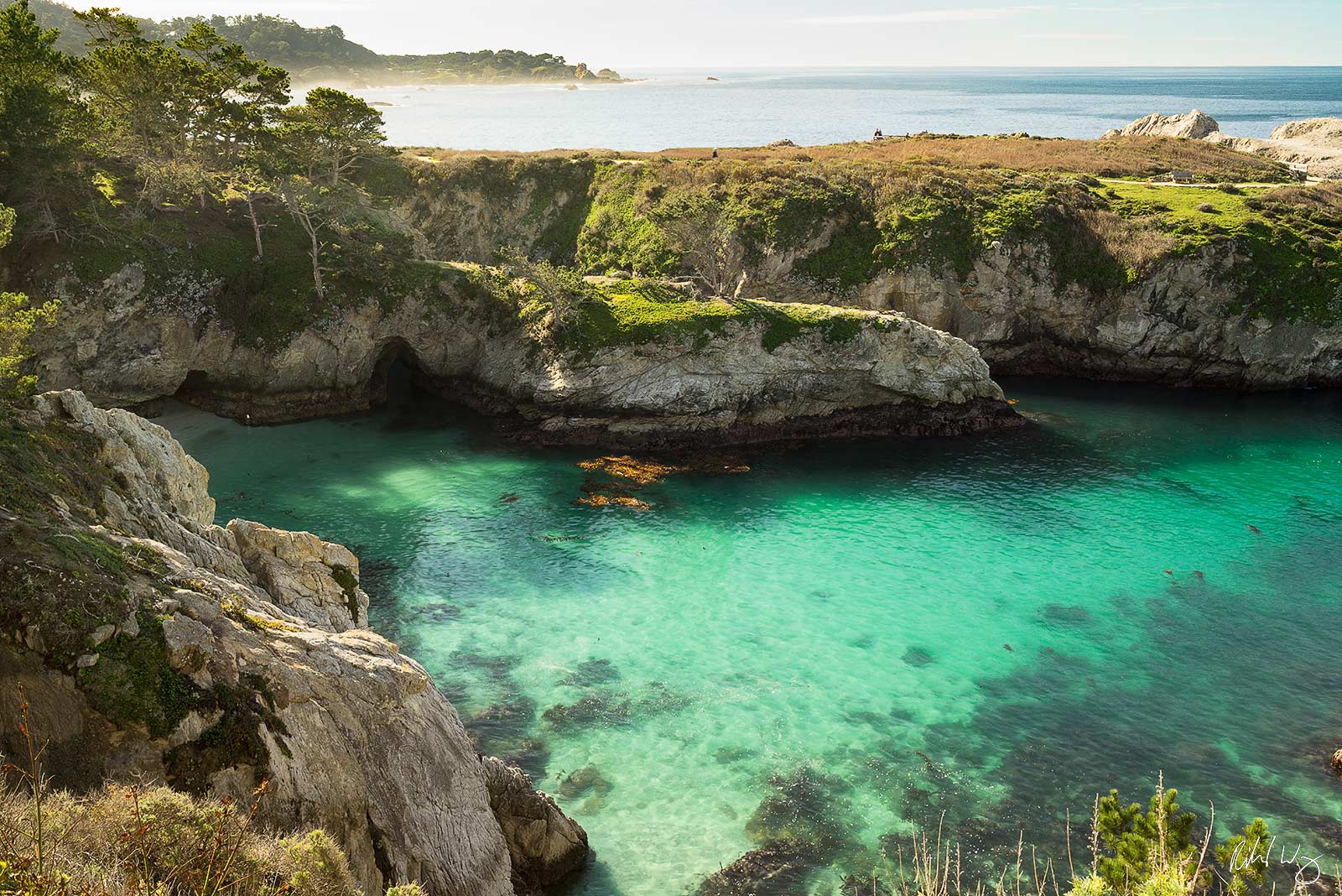 Point Lobos State Natural Reserve