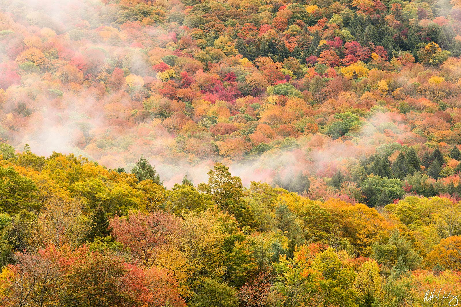 Fall Foliage & Fog, Vermont