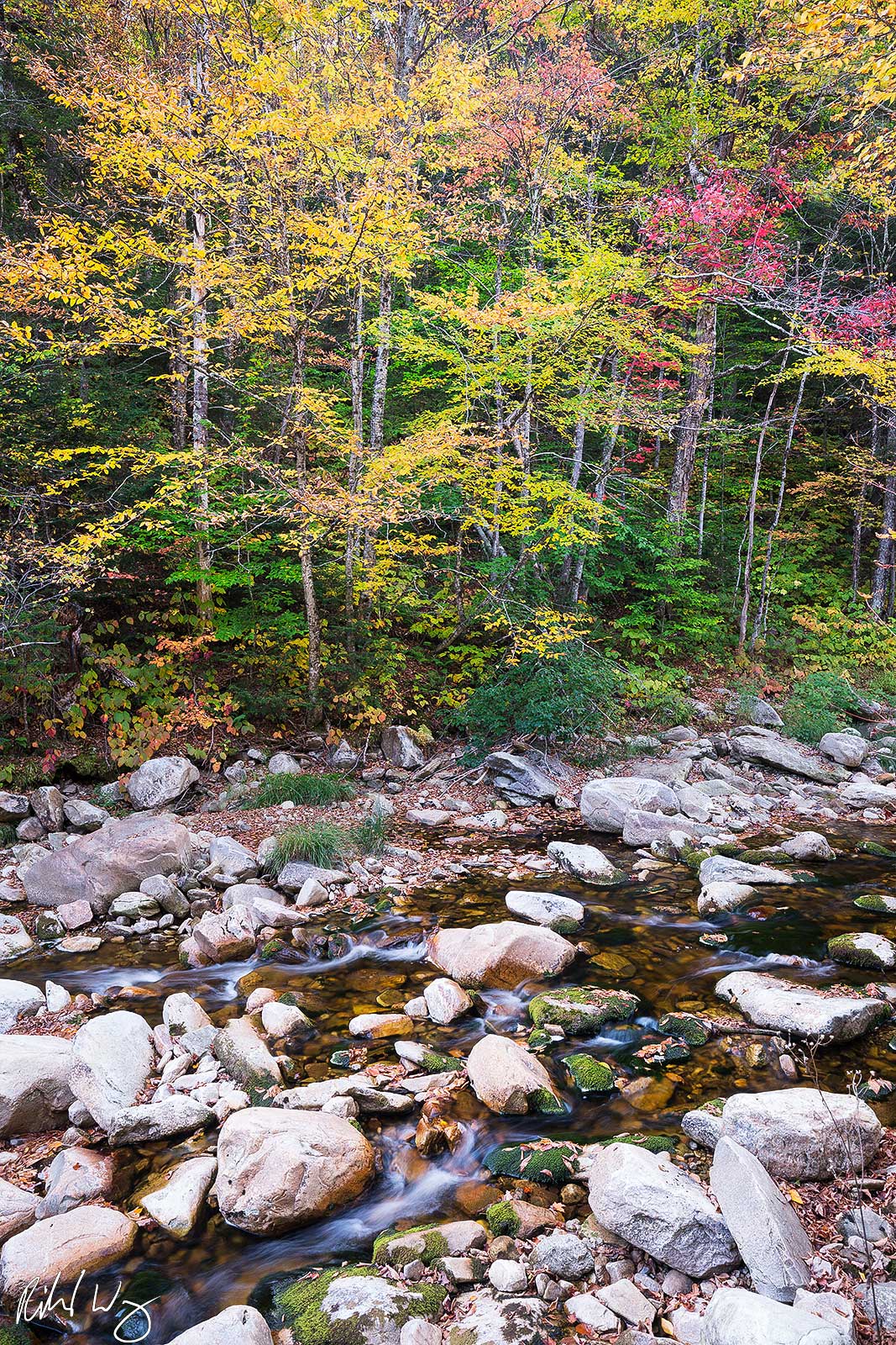 Roaring Branch River, Green Mountain National Forest, Vermont