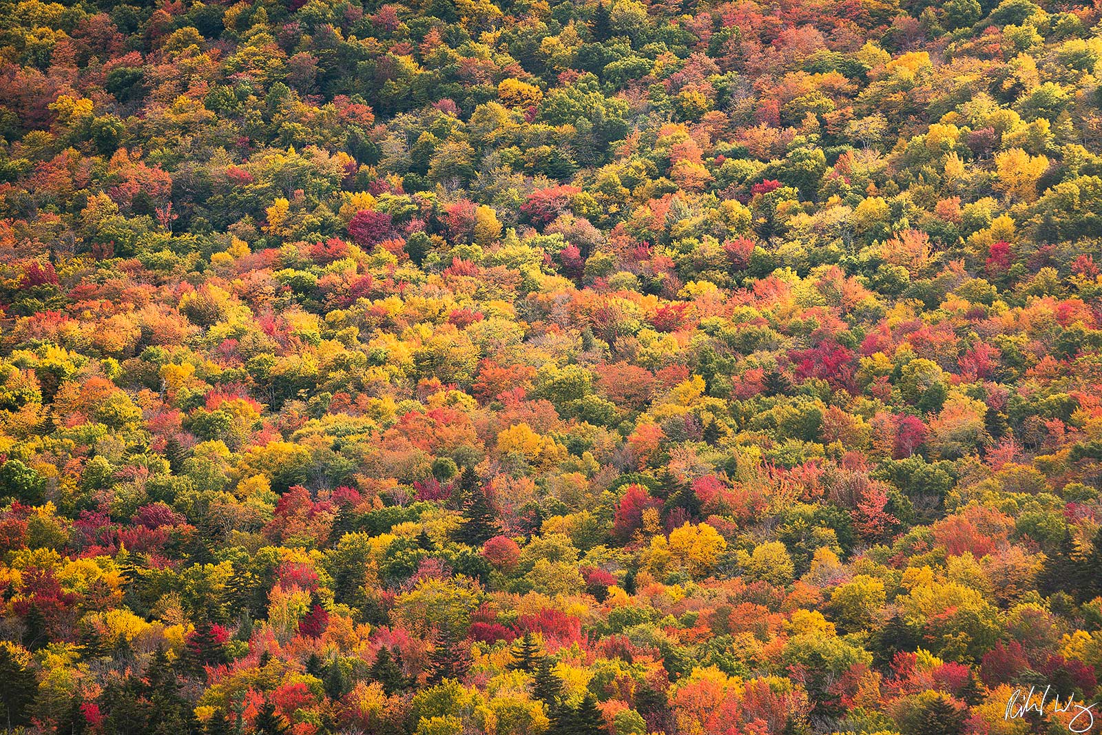 Fall Colors Along Kancagamus Highway, White Mountain National Forest, New Hampshire, Photo