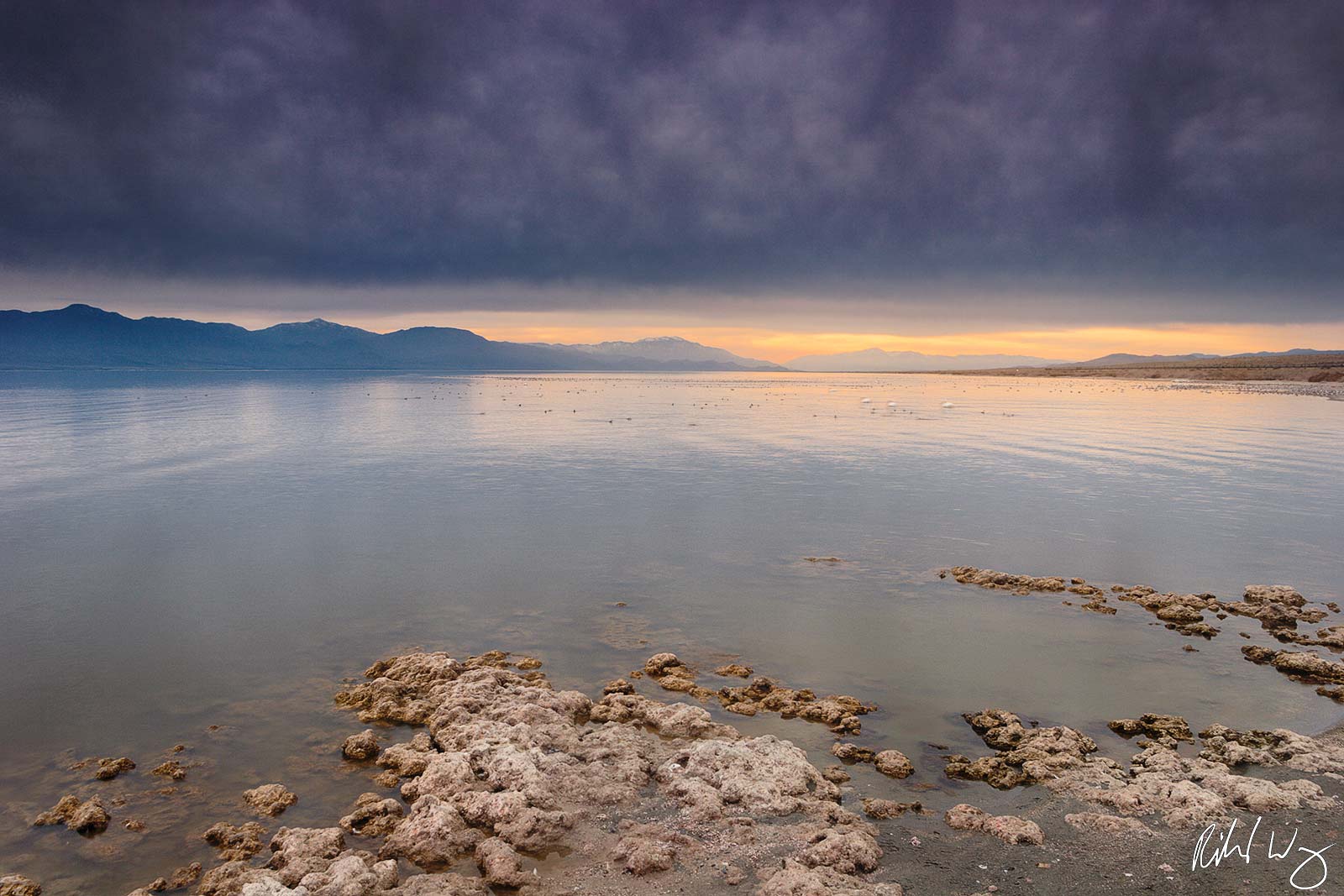 Salt Creek, Salton Sea, California