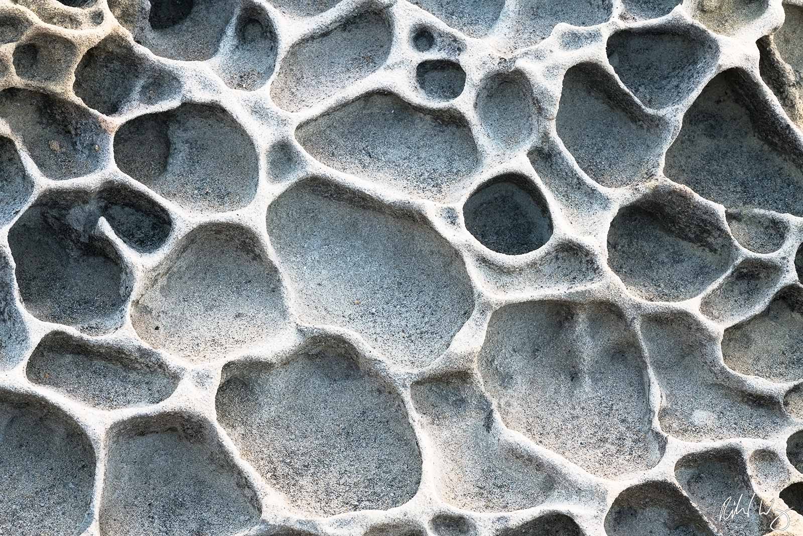 Tafoni Patterns, Salt Point State Park, California, photo