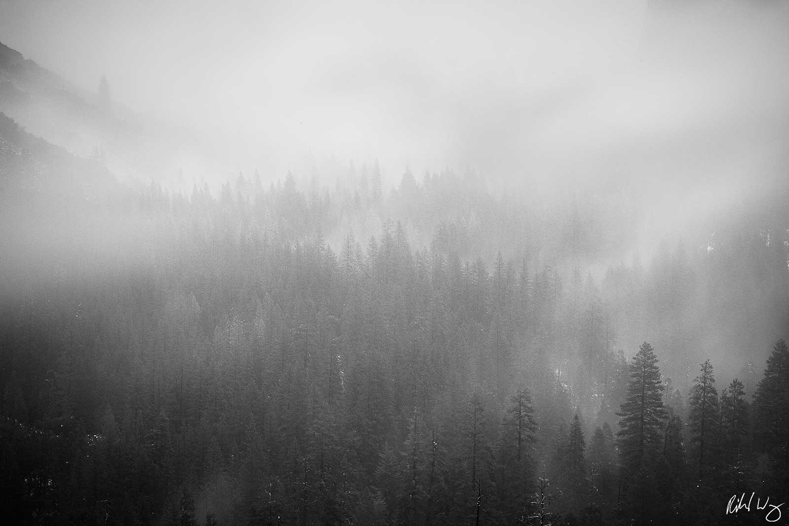 Black and White Photo: ﻿Snow Storm at Tunnel View, Yosemite National Park, California