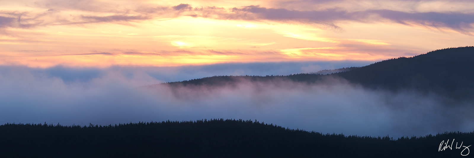 Summer Fog Rolling in Over Ridge at Sunset, Point Reyes National Seashore, California
