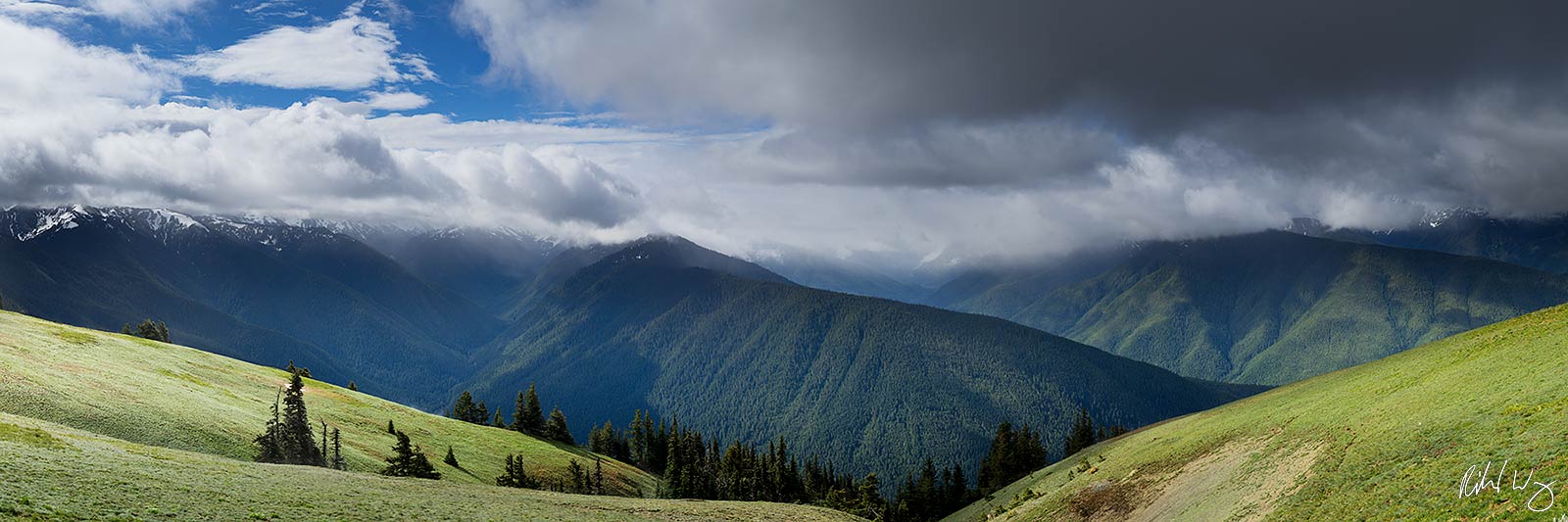 Hurricane Ridge Panoramic, Olympic National Park, Washington