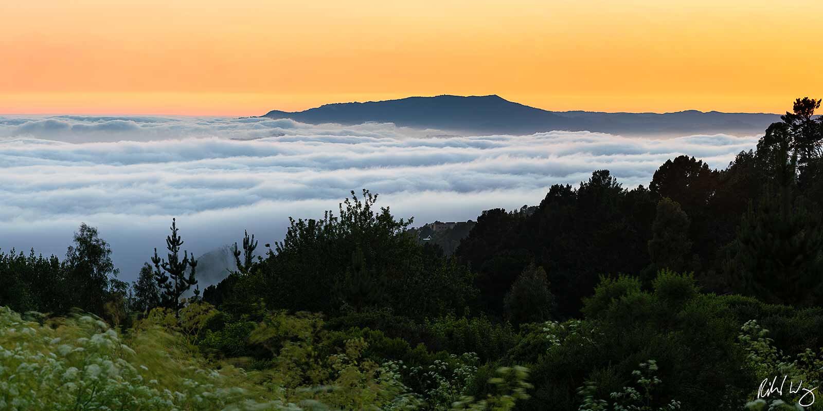 San Francisco Bay Fog at Sunset Panoramic, Berkeley, California