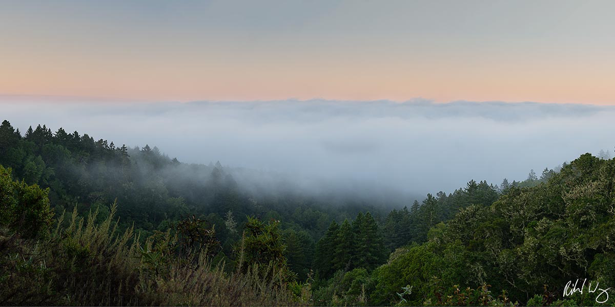 Sunrise Fog Panoramic, Marin County, California, photo