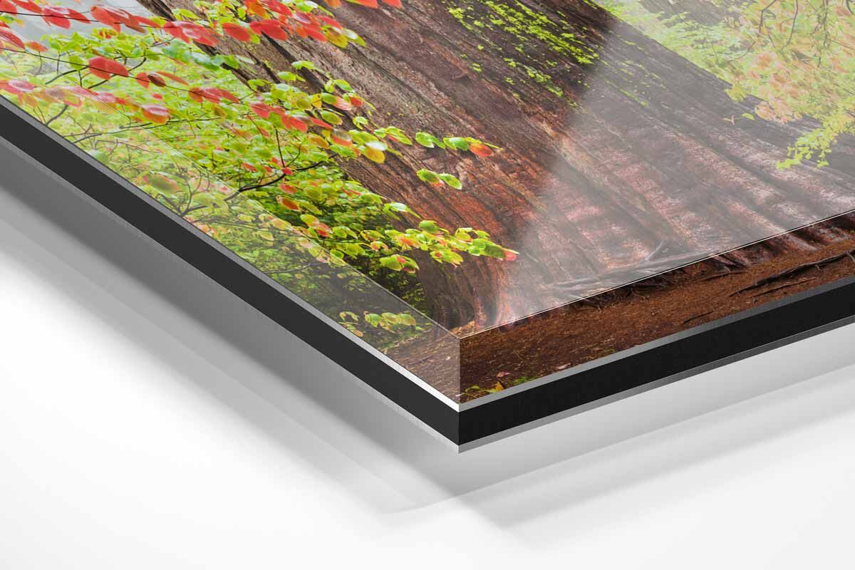 Acrylic Face Mount Print - Richard Wong Photography