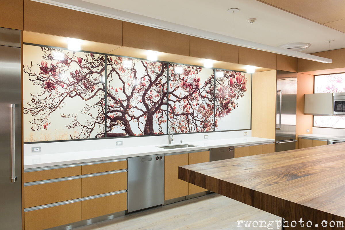 Large Panoramic Photo in Designer Kitchen, Berkeley, California