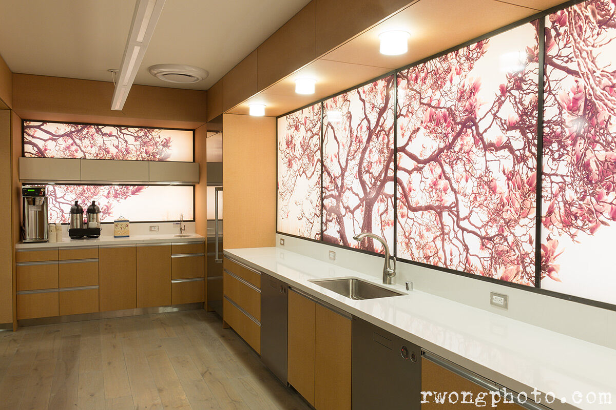 Large Panoramic Photo in Designer Kitchen, Berkeley, California