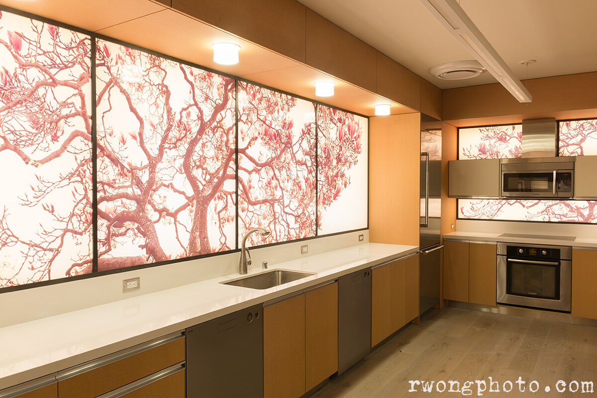 Large Panoramic Photo in Designer Kitchen, Berkeley, California