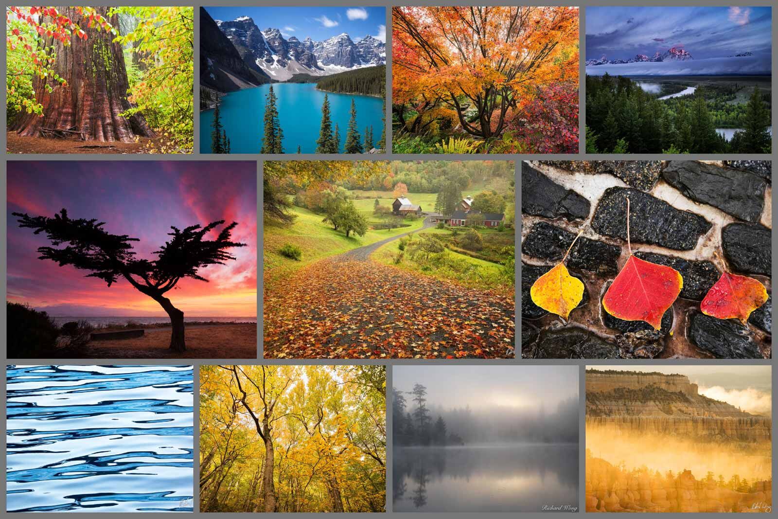 Nature & Landscape Photography Galleries
