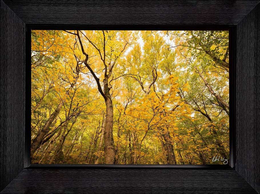 Framed Bathroom Art