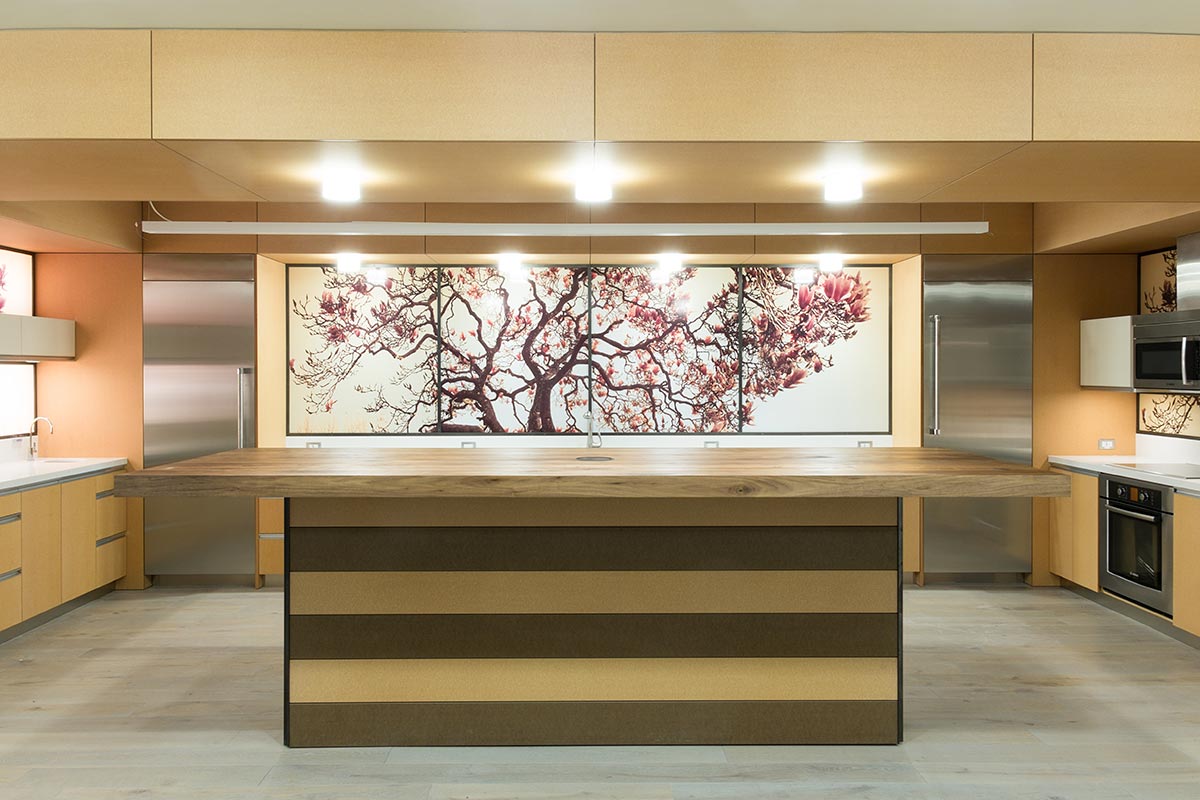 Office Wall Mural in Luxury Kitchen, Berkeley, California