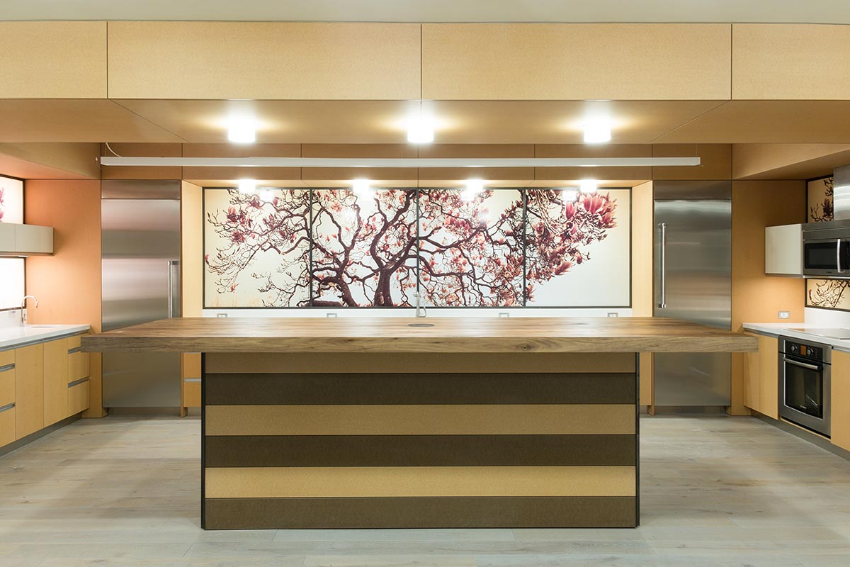 Office Art Installation in Luxury Kitchen, Berkeley, California