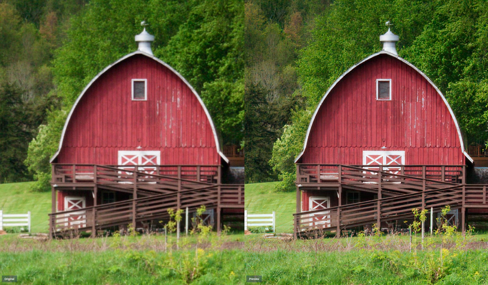 Topaz Labs Sharpen AI Before & After